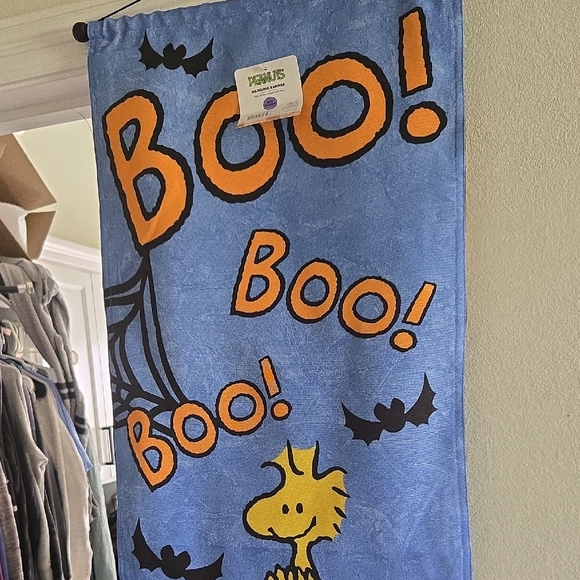 Peanuts Blue and Orange Boo Hanging Banner - Picture 1 of 3